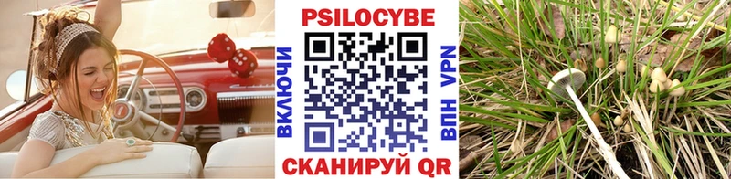 Галлюциногенные грибы Psilocybe  как найти закладки  kraken ССЫЛКА  Конаково 